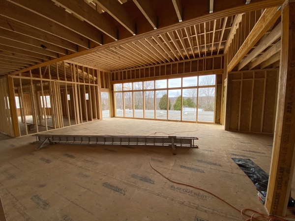 Living Room from the Hall on February 23, 2020